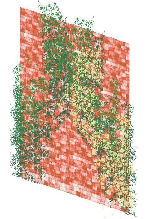 nieuw sociaal-circulair project